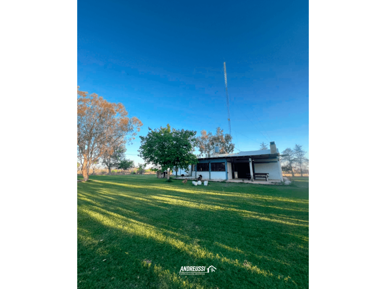 Gran Finca En Albardón  16.063 M² Ideales Para Inversión O Emprendimiento