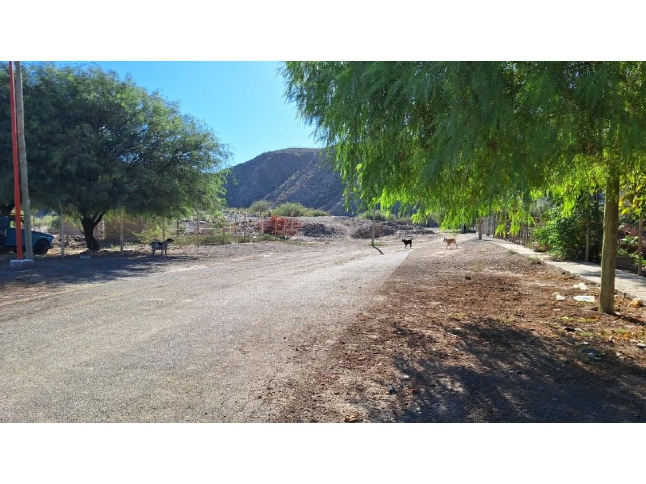Venta. Terrenos En San Martín  Servicios, Escritura Y Excelente Ubicación