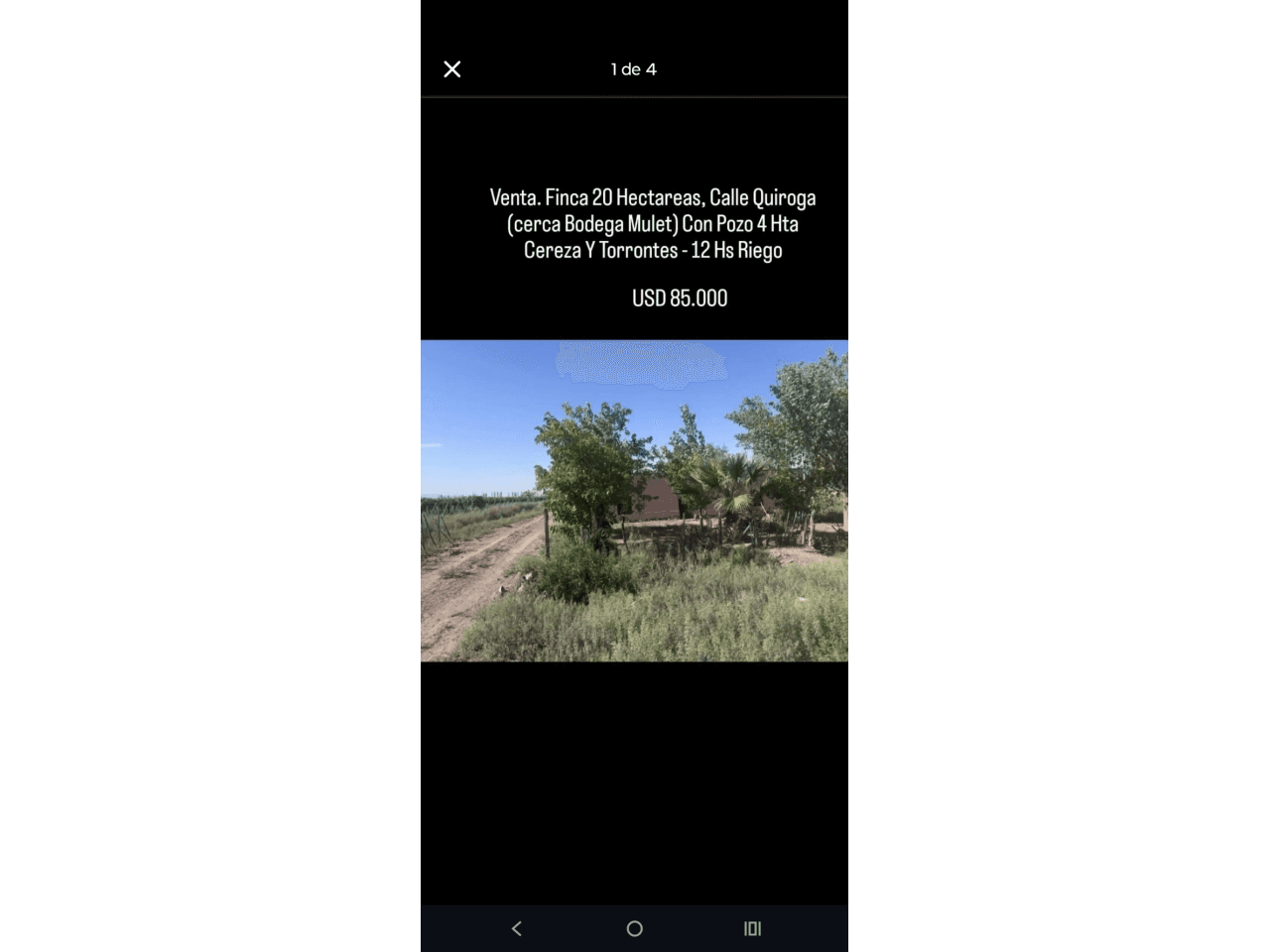 Se Vende Finca En La Localidad De San Martin