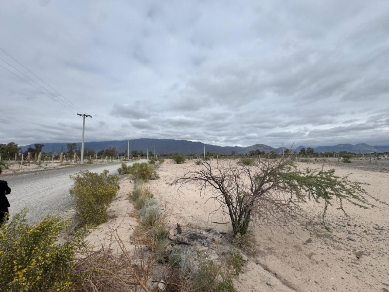 🔵 Venta. Terreno En Zonda  857m² Sobre Calle Las Moras - Ref 3412 🔵