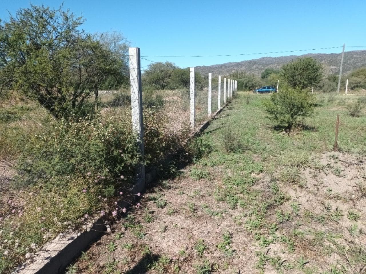 Venta. Lote De 20 Mts Ancho Por 40 Mts Largo. Valle Fertil