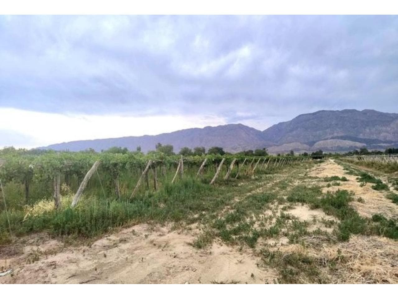 Finca De 6.5 Has En Produccion En Carpinteria. Mls#420981133-92