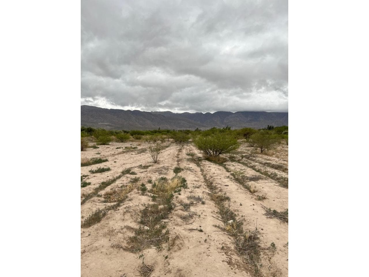 Lotes En Venta En Pocito - Busso Propiedades