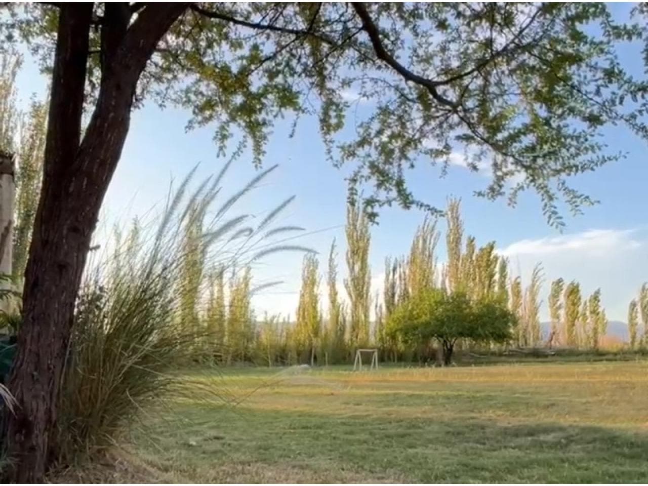Dueño Vende Y Financia Casa Quinta Terreno 1ha + Casa (lista Para Habitar). Agua De Riego. Albardón.
