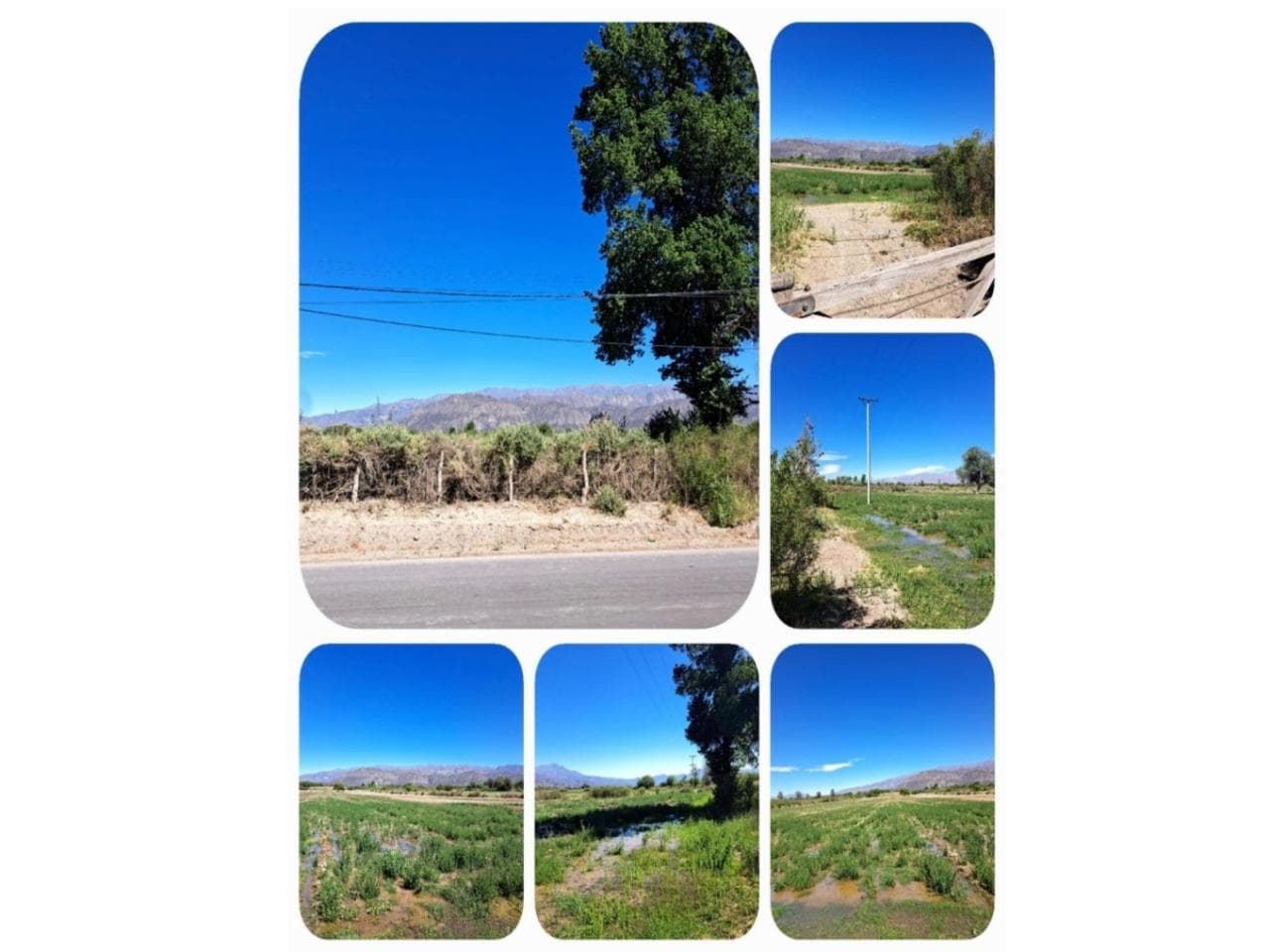 Venta. Excelente Finca Produciendo. Jachal
