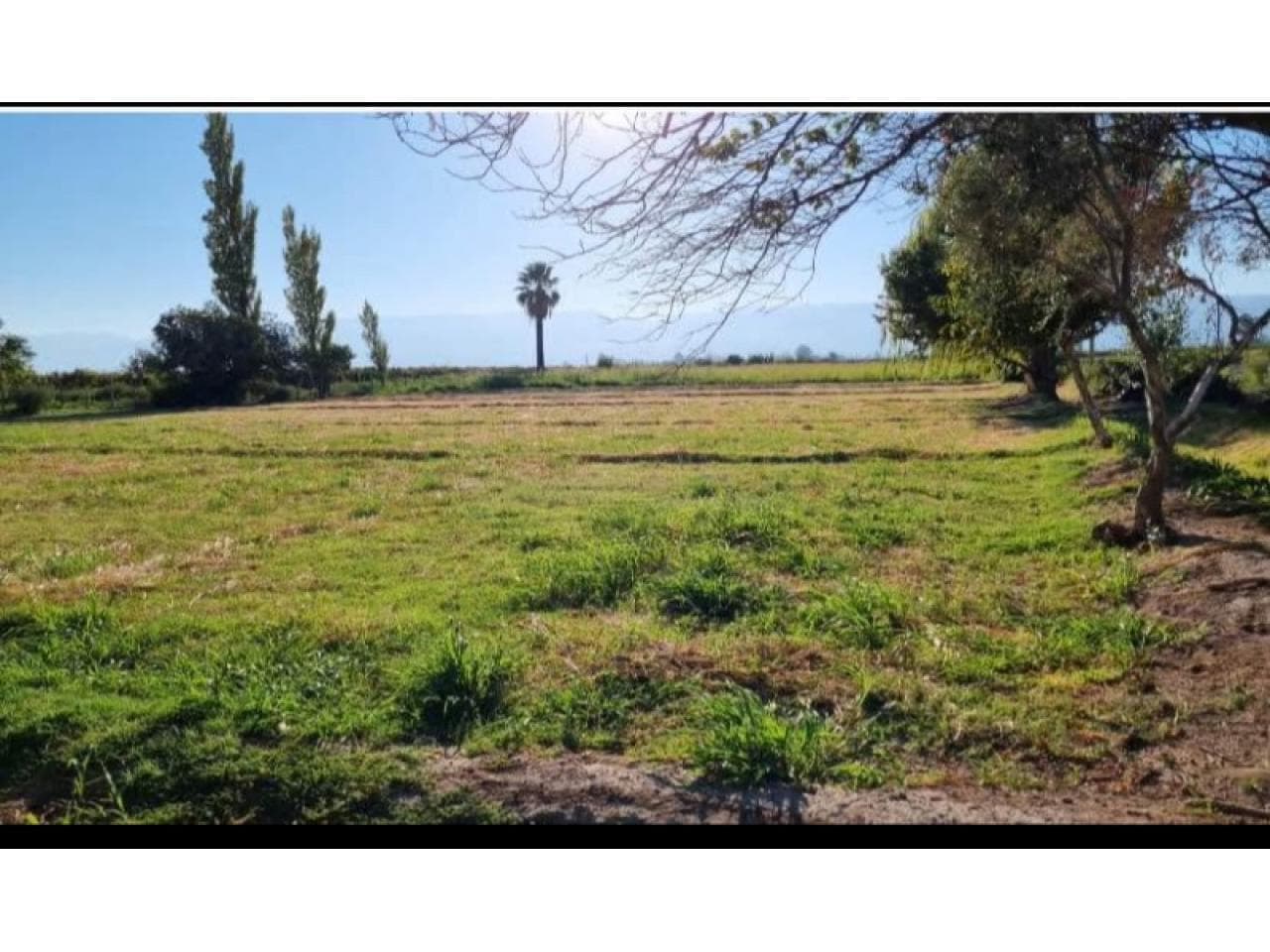 Venta. Liquido Espectacular Lote De 2000 Mts2 Con Todos Los Servicios. Angaco