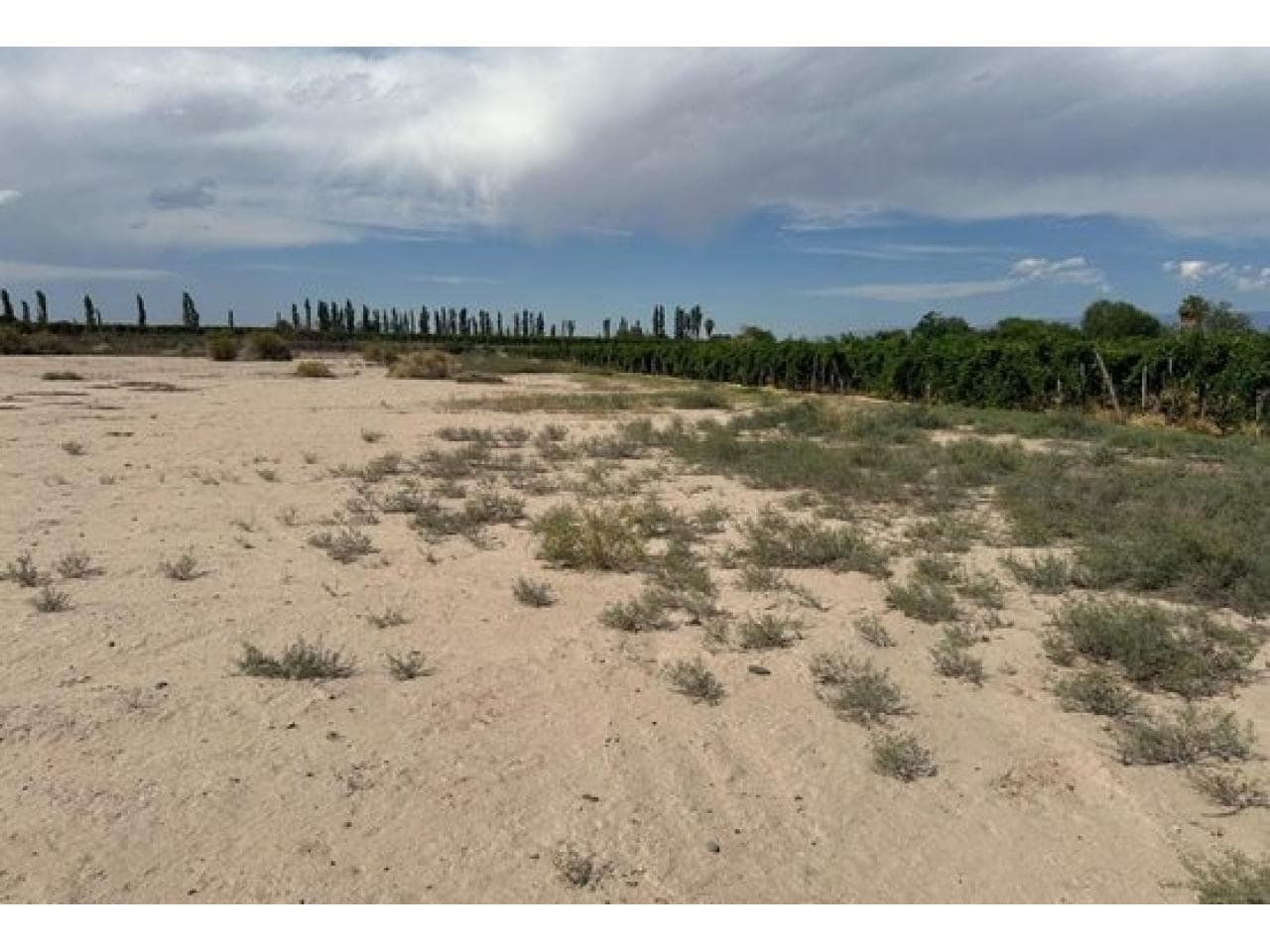 Terreno Sobre Benavidez. El Mogote Mls#420981013-181