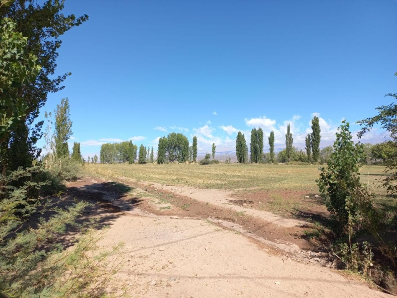 Arevalo Inmobiliaria Venta Lotes En Barreal. Calingasta