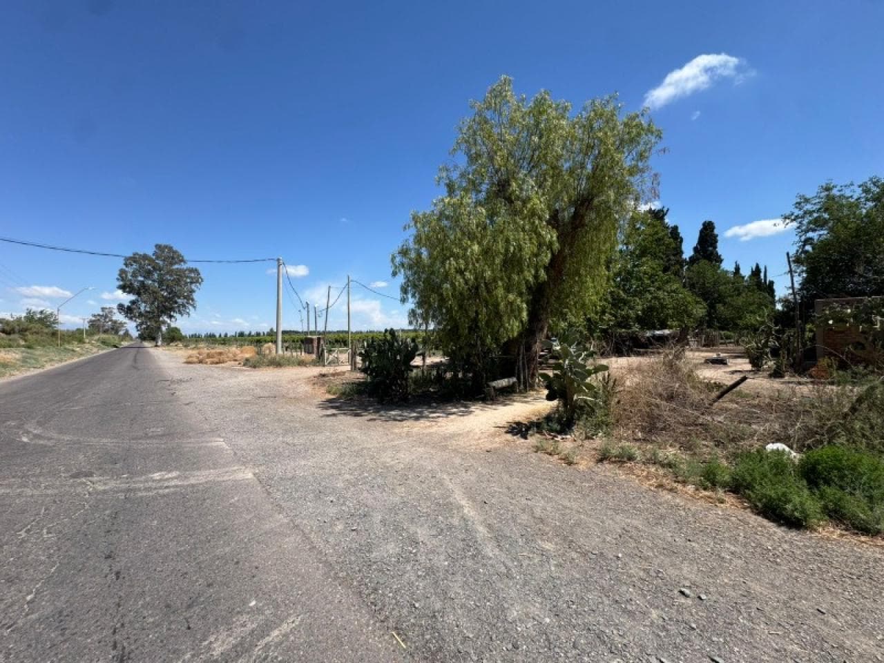 🔵 Venta - Finca 120 Ha. - Calle 4 Entre Calle 22 Y 23 - Ref 3405🔵