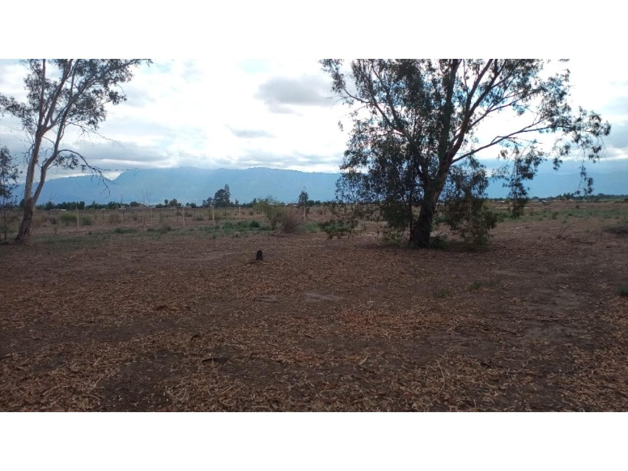 Venta. Lotes 1500mtros2. Rawson