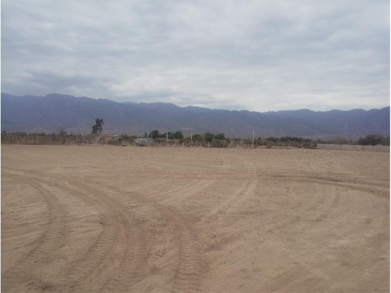 Alquilo Terreno 1.5 Ha. Pocito