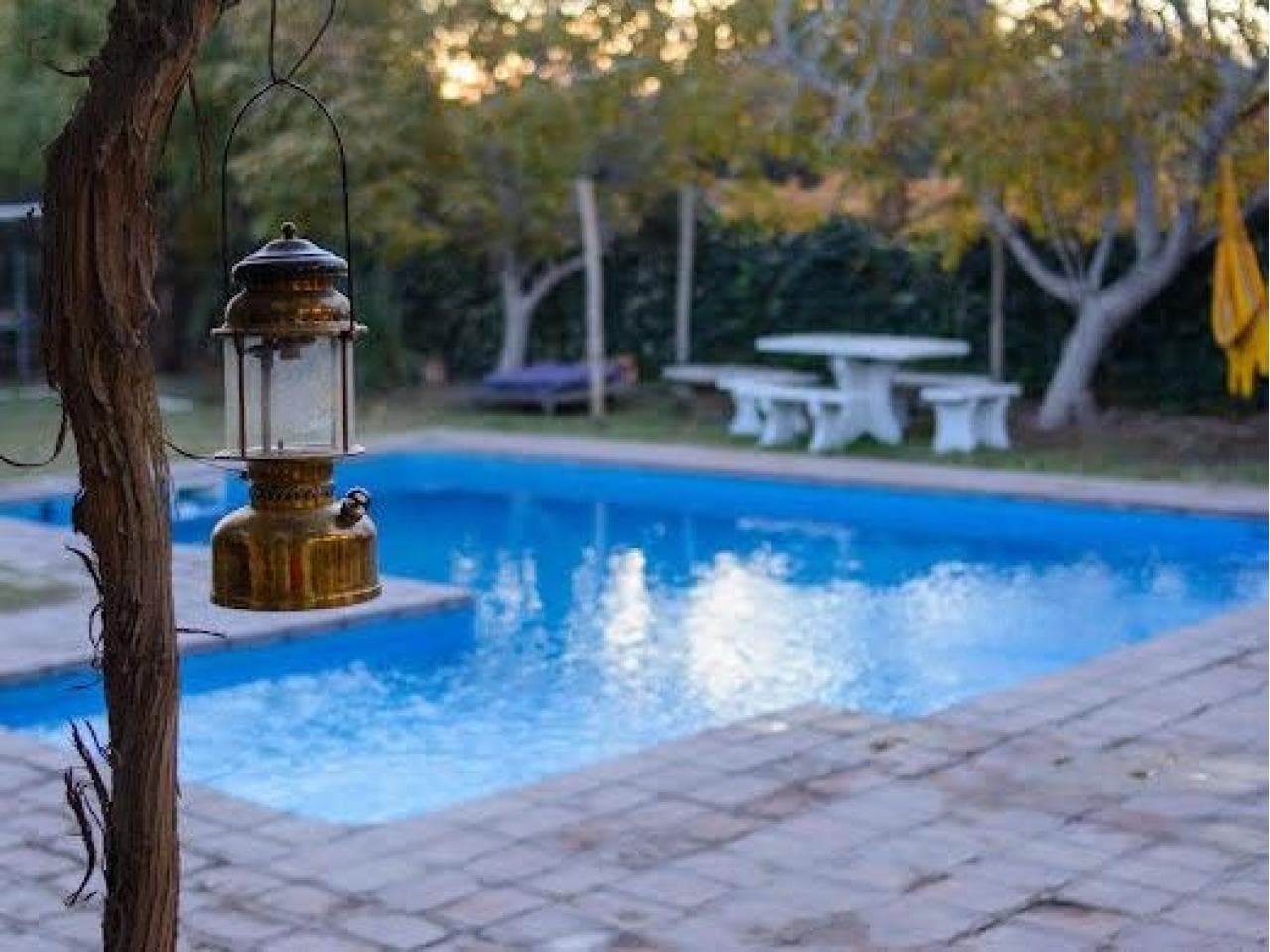 Alquiler Dos Casas Amobladas Exquisítamente Dentro De Un Gran Predio. Chimbas
