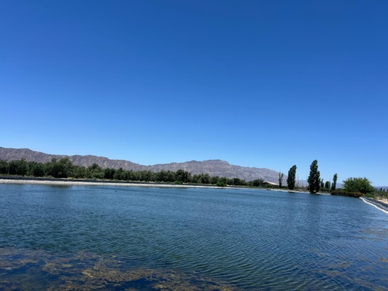 Venta - Finca 265 Has- Ullum