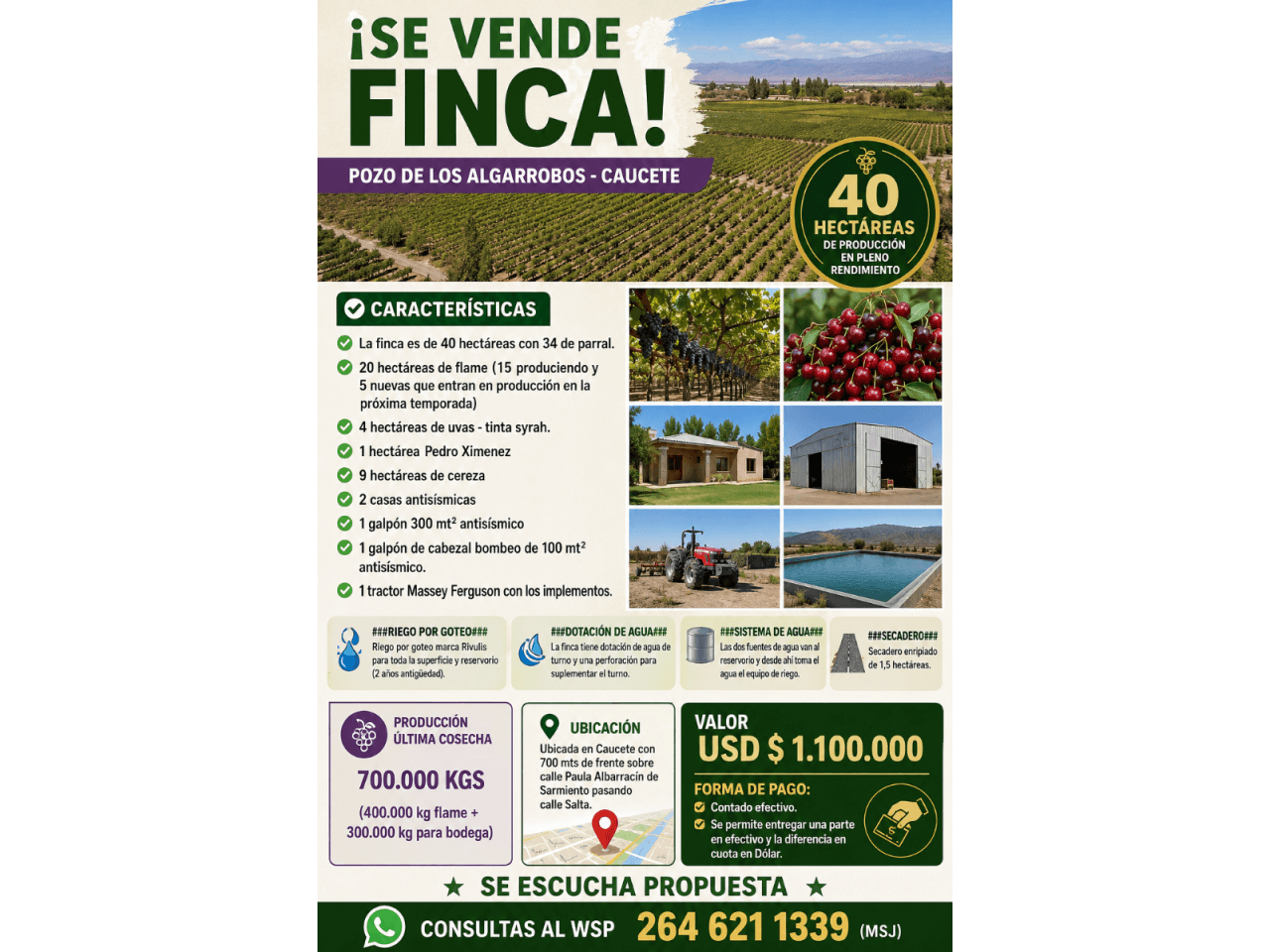 Se Vende Finca En Pozo De Los Algarrobos-caucete