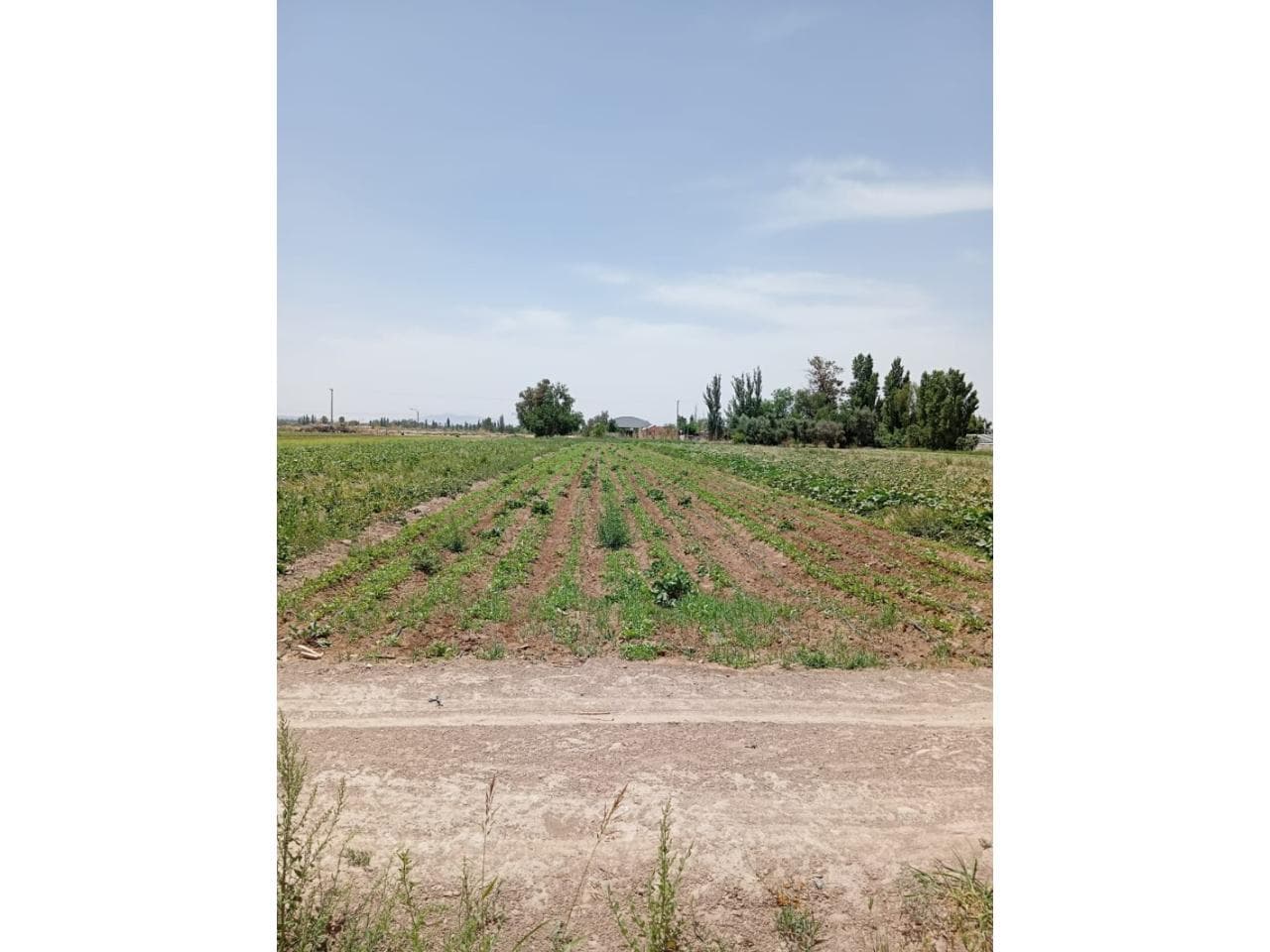 Venta. Finca De Hermosa Zona En Pocito, Todos Los Servicios