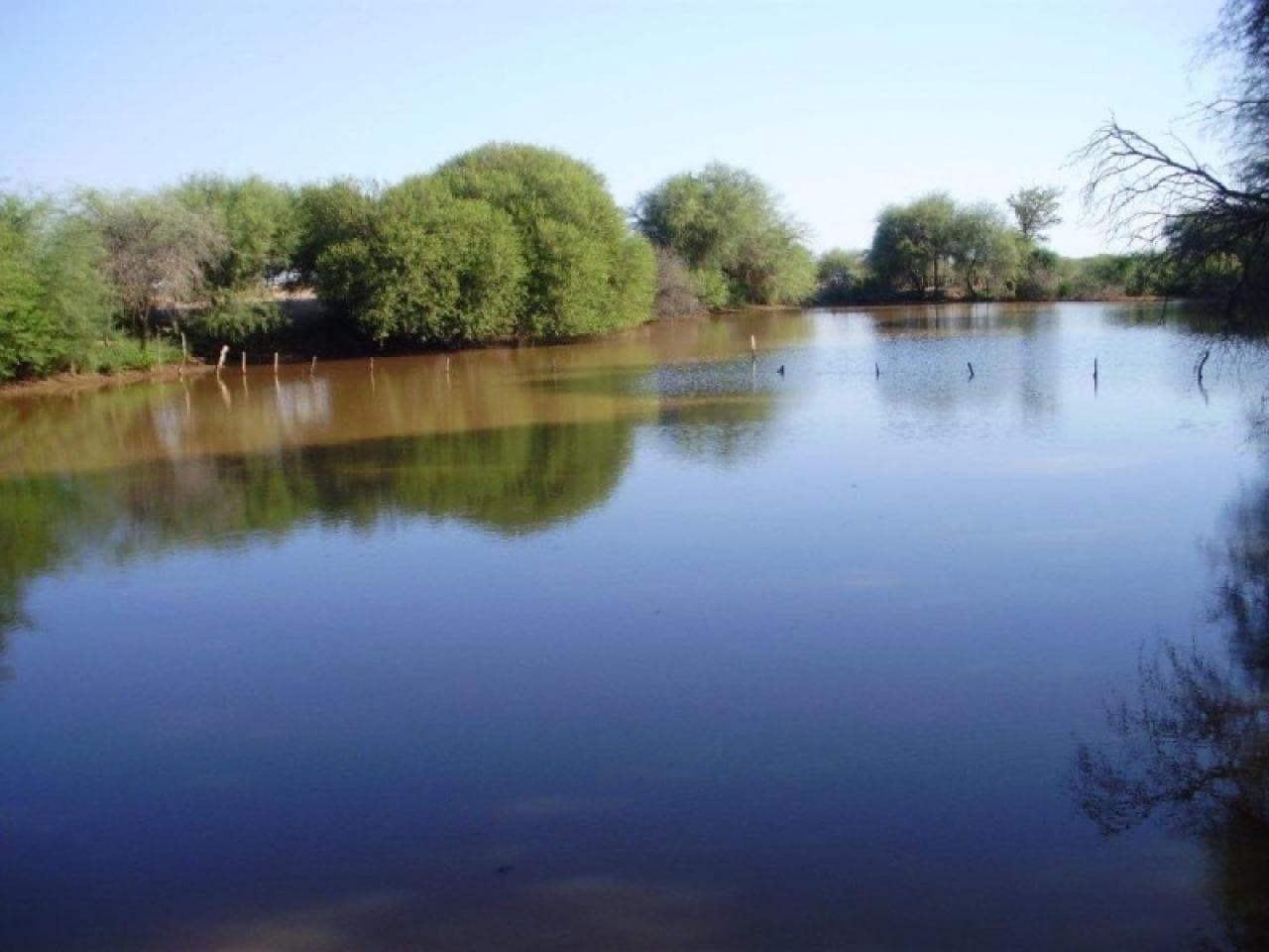 Venta - Campo De 7.500 Ha En Caucete Localidad De Marayes Sobre Ruta Nacional.