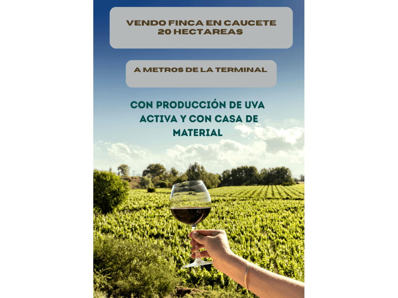 Vendo Finca De 20 Hectareas Zona Caucete Con Produccion De Uva