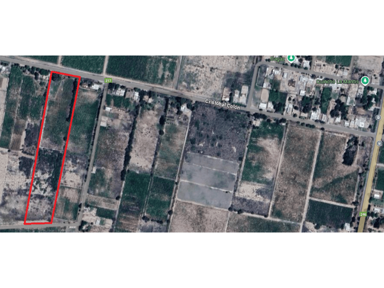 Venta Finca En Caucete - Zona El Rincon