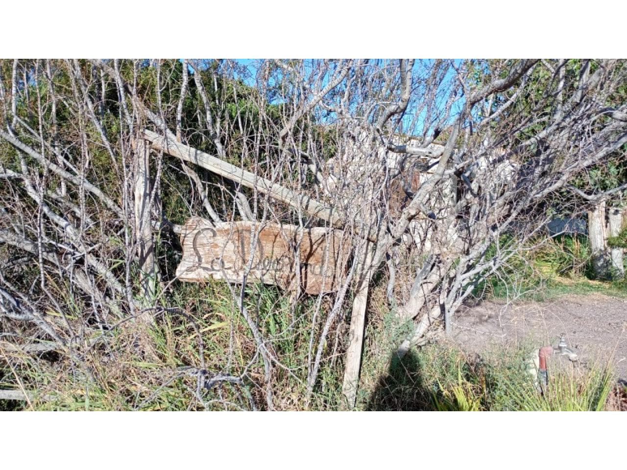 Venta Finca La Deolinda. Angaco