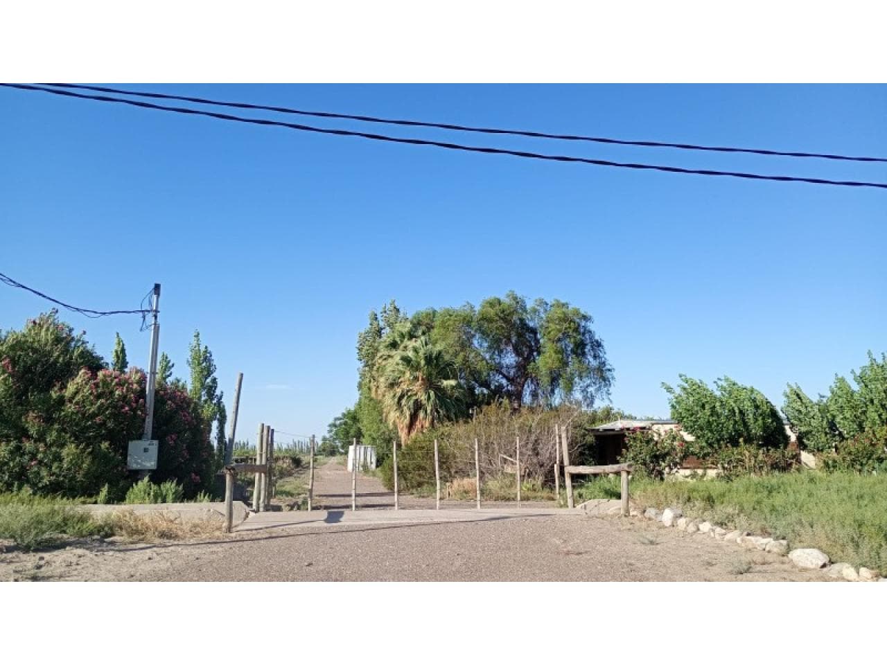 Venta Finca "la Deolinda". Angaco