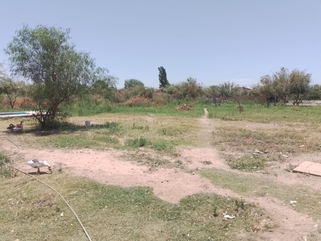 Quincho Y Pileta. Ruta 40 Pasando 18