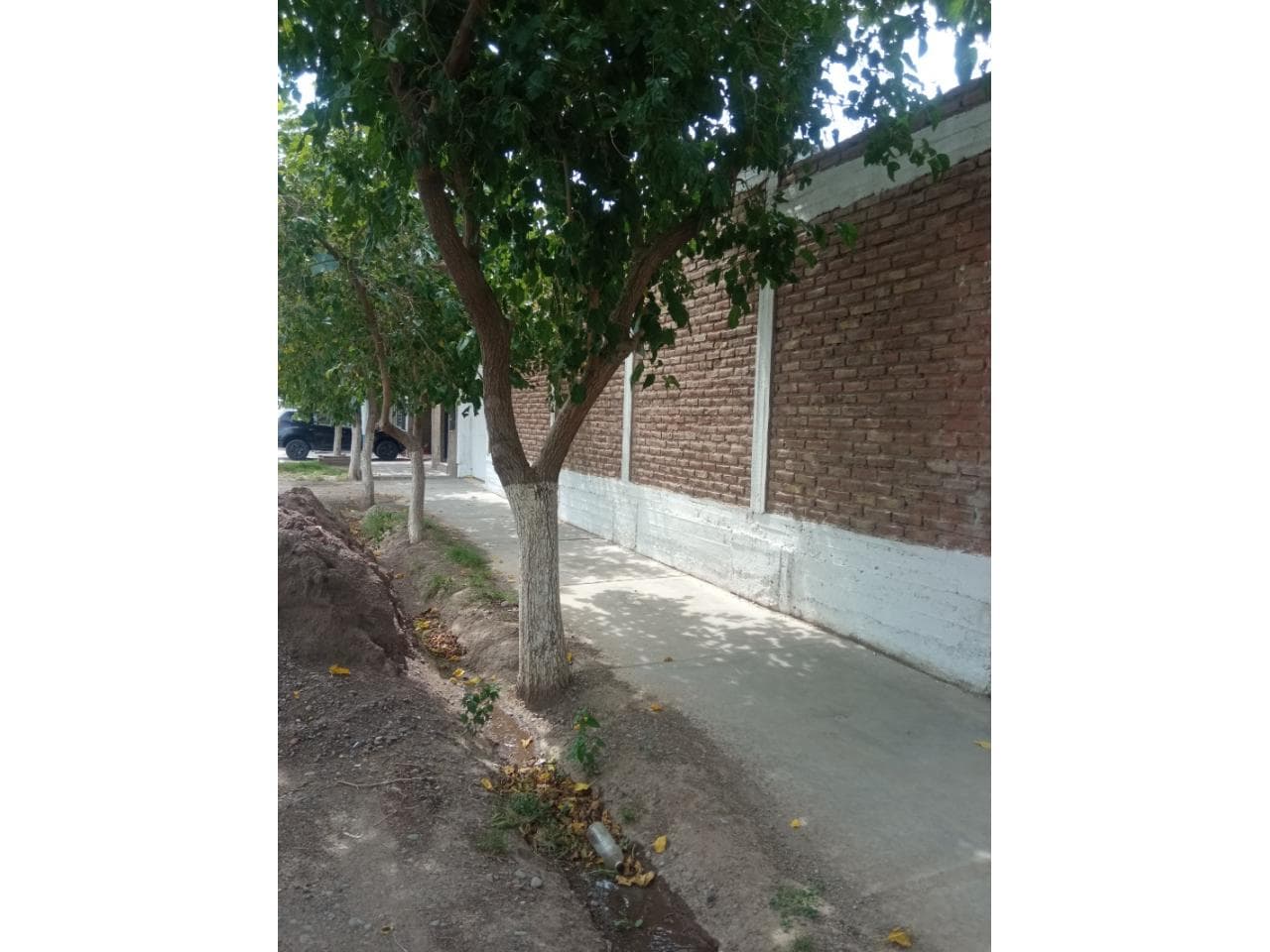 Alquiler Excelente Casa Varios Ambientes. Exclusivo Para Empresas. Rawson