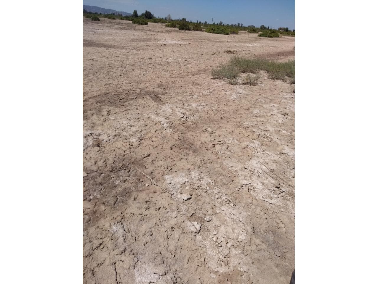 Vendo 2 Lotes De 1500 Mts2 C/u Permuto Por Vehiculo