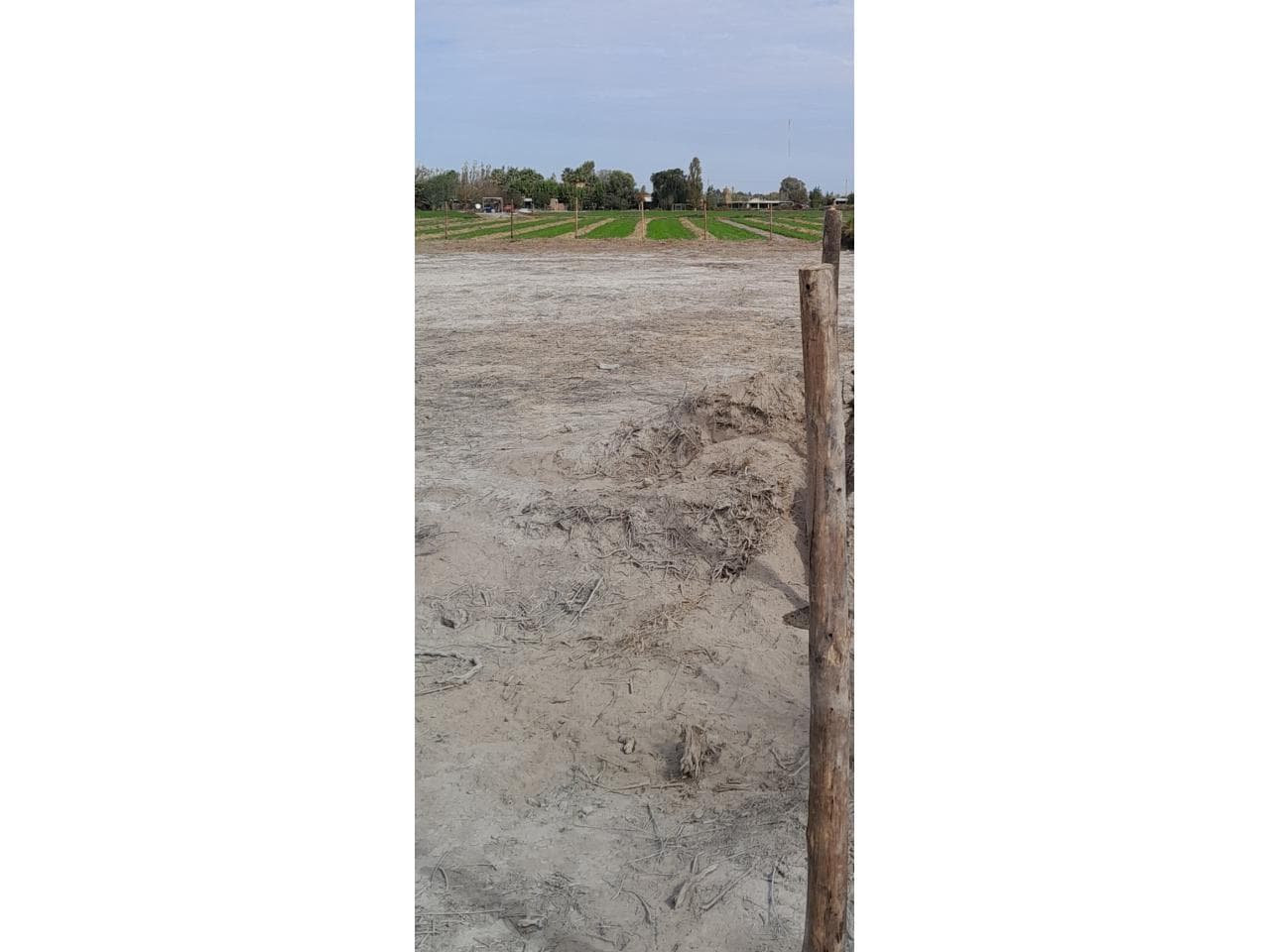 Venta. Terreno 1500 M² Medanito. Rawson
