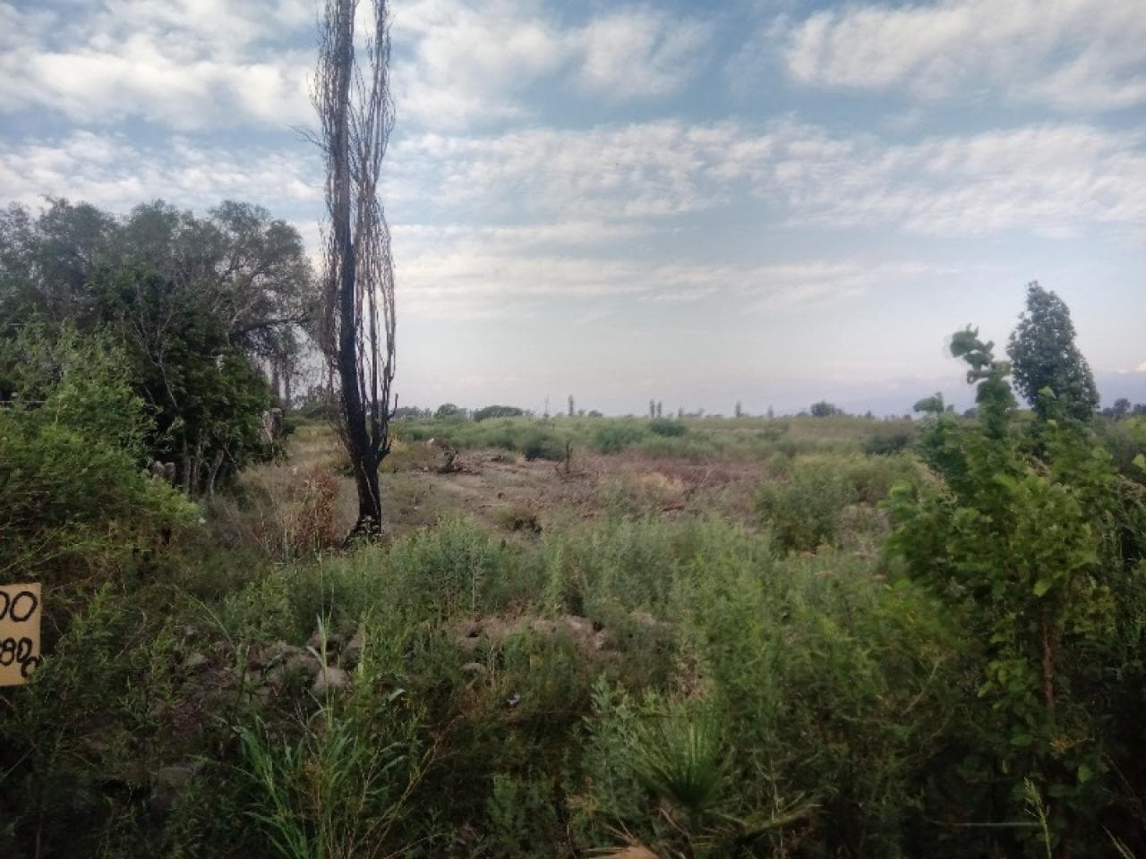 Lote De 6870 Mts Cuadrados