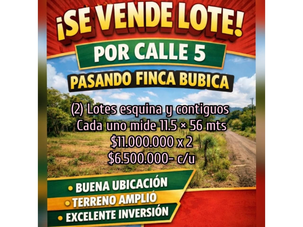 Venta 🏡 Lotes (2) Calle 5 Pasando Finca Bubica Camino A 9 De Julio ‼️