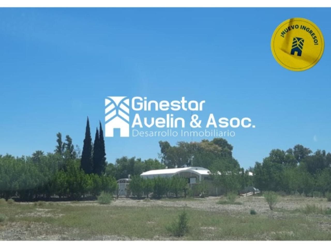 Venta - Finca Para Actividad Industrial - A Metros De Ruta Nacional 40- Albardón