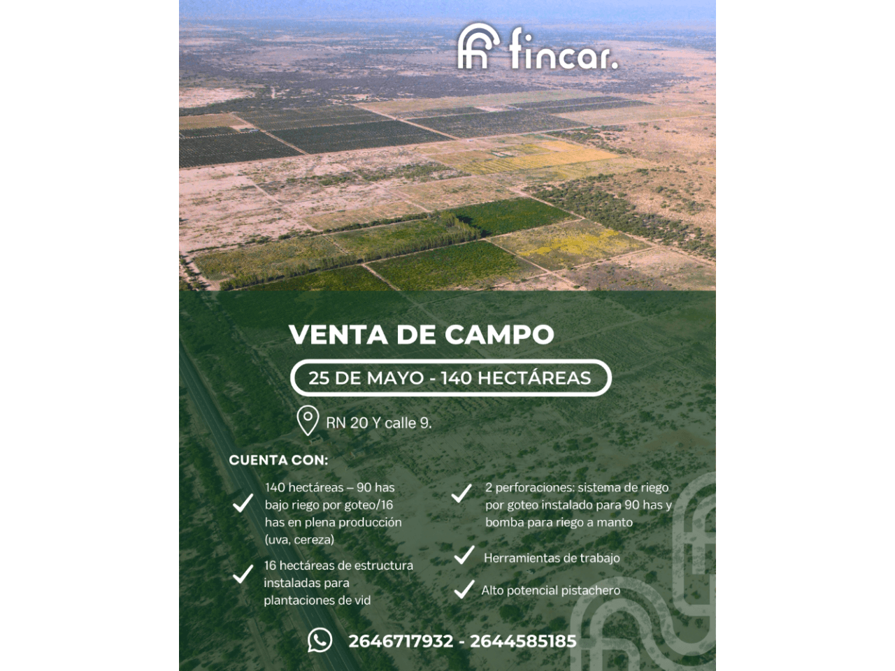 Oportunidad única De Inversión En 25 De Mayo, San Juan 🌱 Finca Para Pistacho Ruta 20 140 Has Fincar