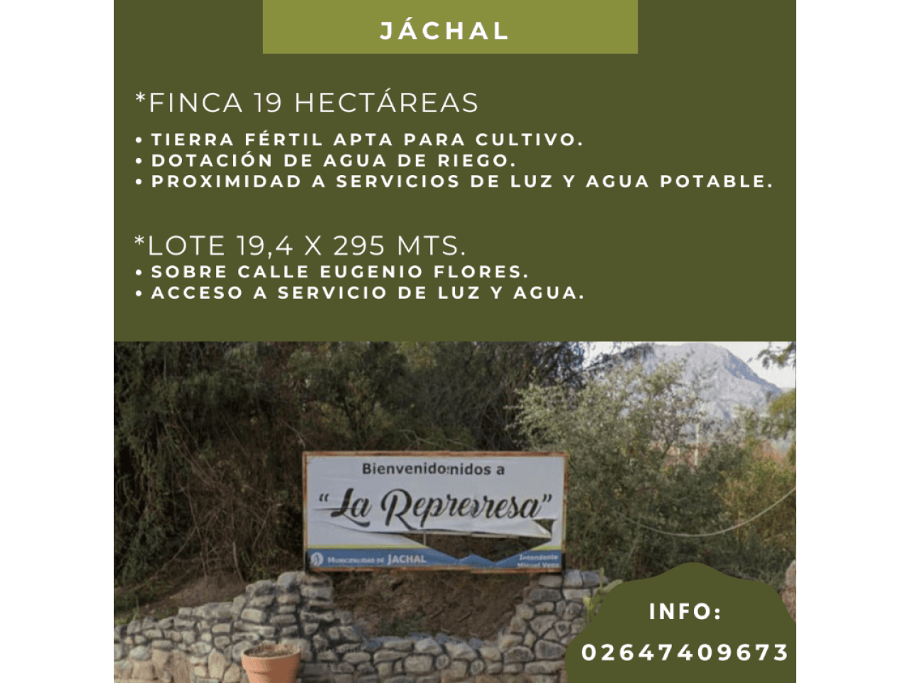 19 Hectáreas En Venta