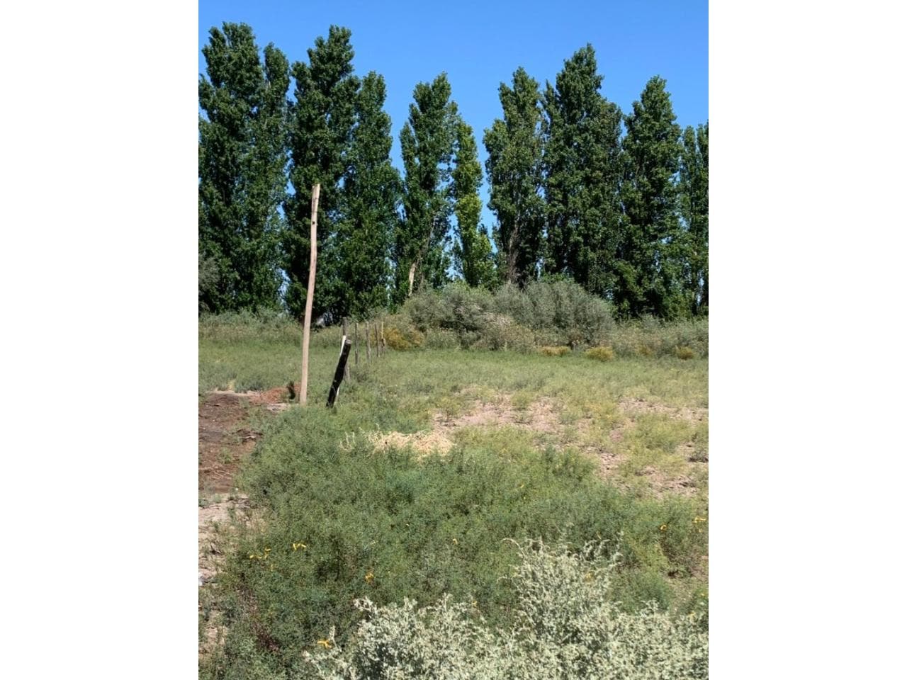Terreno De 840 Metros Cuadrados. Con Agua Ya Ingresada Al Lote. Escriturado.