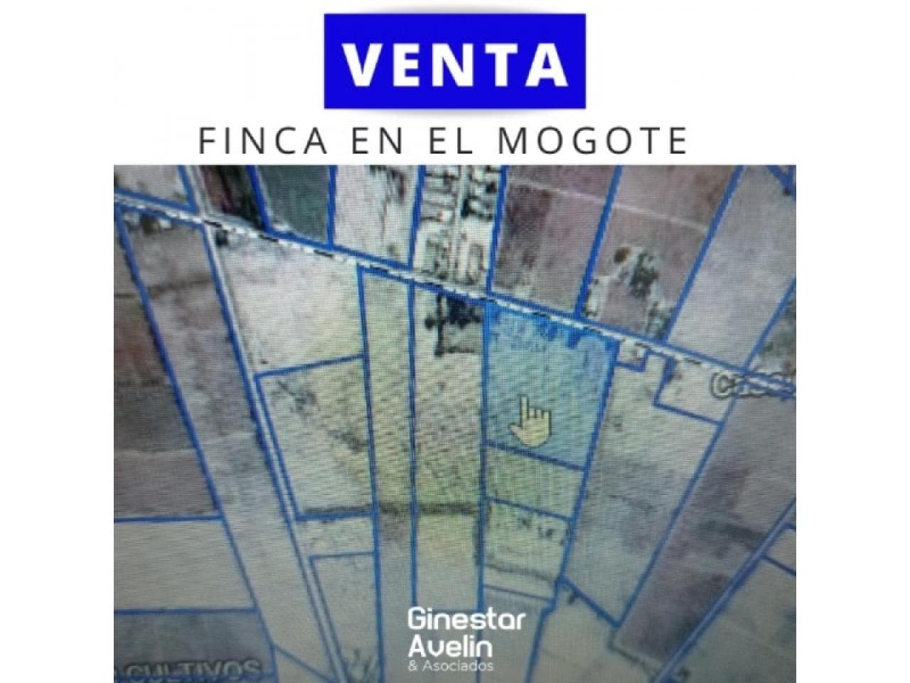 Venta. Finca En El Mogote, Santa Lucia 6has