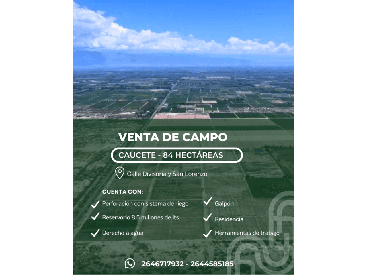 Nueva Oportunidad En Caucete, San Juan 🌱  📍 Calle Divisoria Y San Lorenzo   🔹 84 Hectáreas: 60 Has Bajo Riego Por Got
