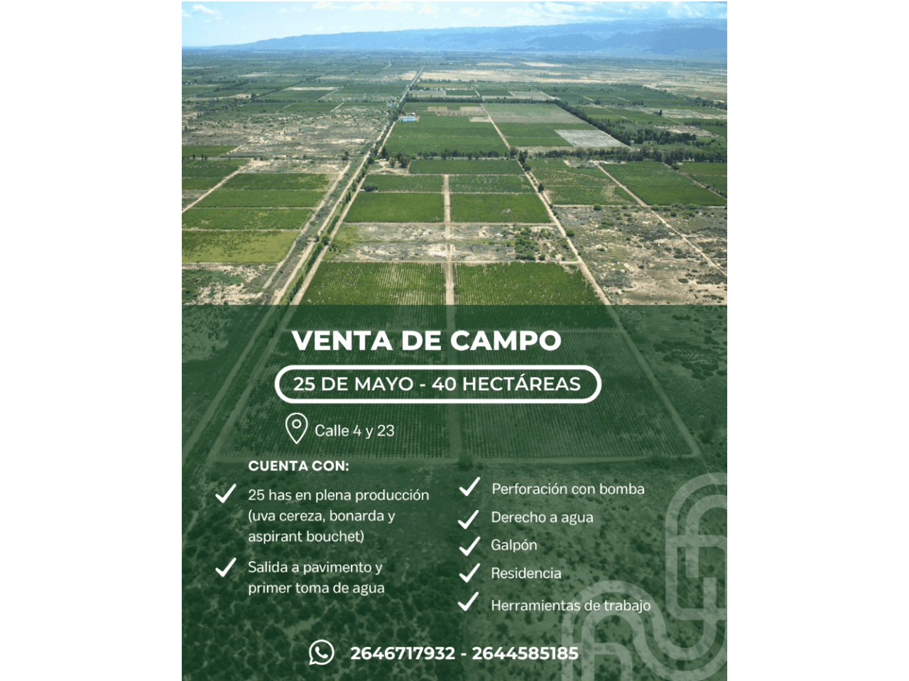 Excelente Oportunidad En 25 De Mayo,  San Juan 🌱  📍 Calle 4 Y 23  🔹 Finca 40 Hectáreas: 25 Has En Plena Producción