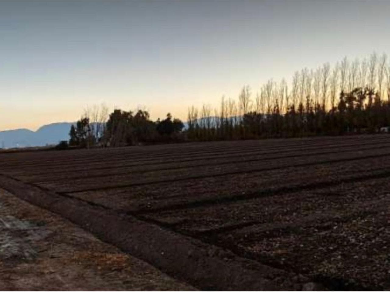 Vendo Espectacular Campo De 50 Hect En Los Berros Sobre Ruta