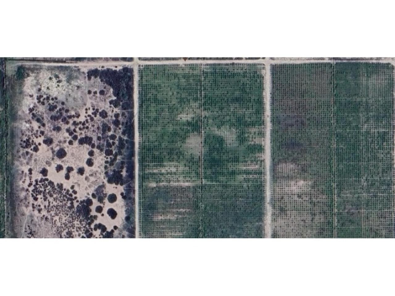 Venta. Finca 90 Hectareas 25 De Mayo 70 Hectareas Con Derechos De Agua Ideal Pistacho