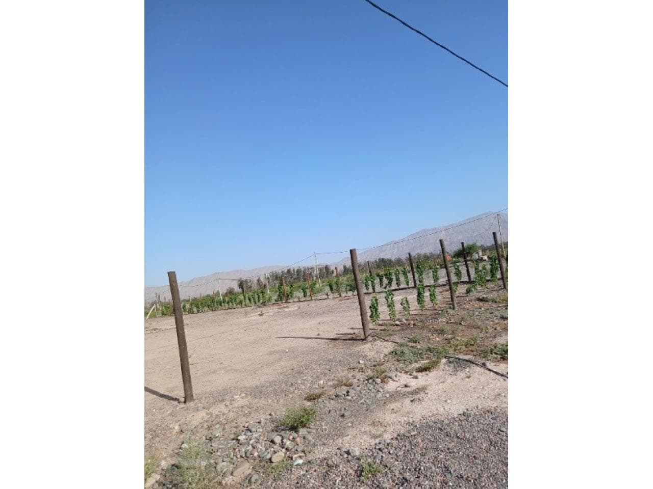 Venta. Lote De 1200m2. Zonda
