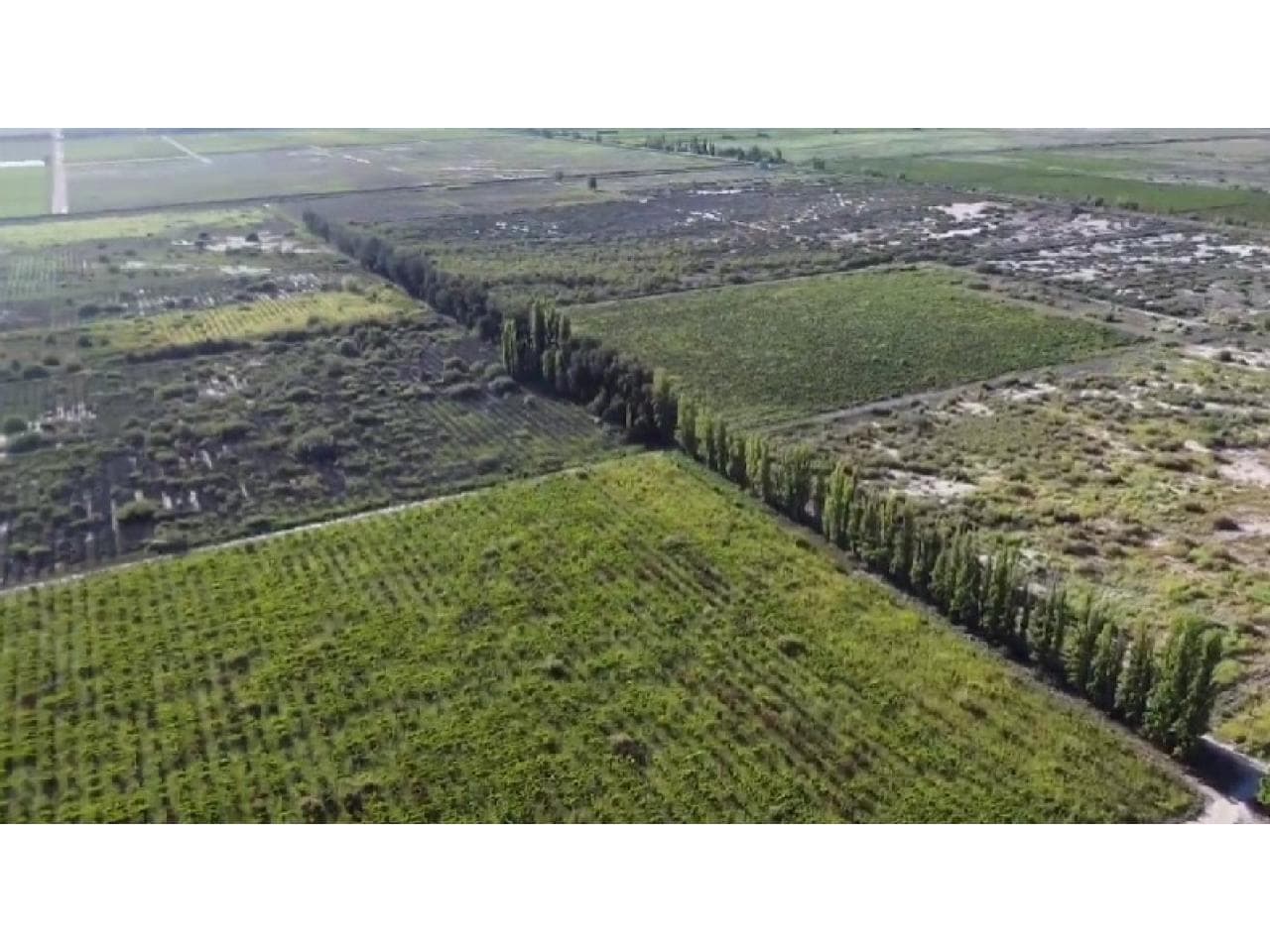 Venta - Finca De 160has- 25 De Mayo