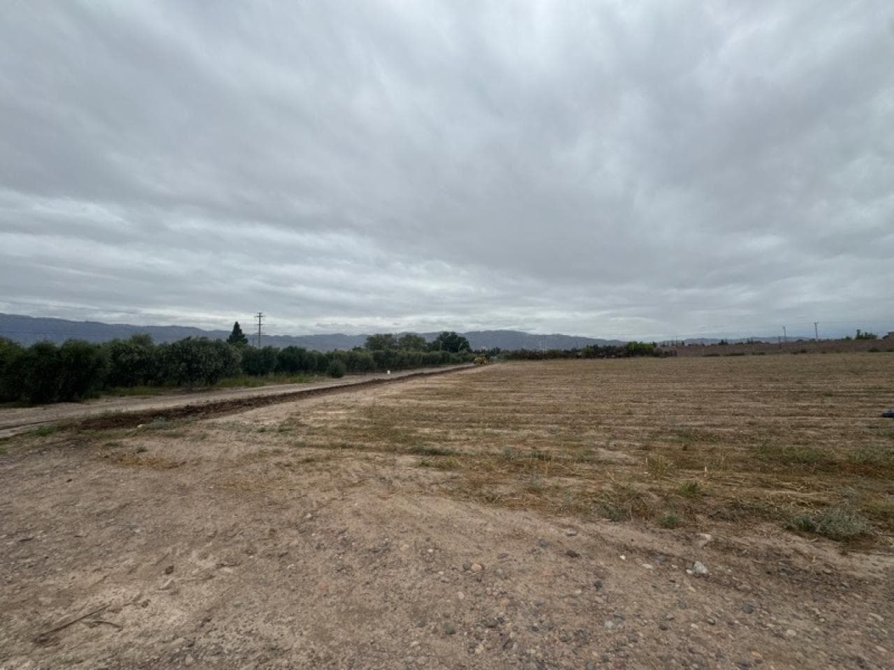 Finca / Hecteareas En Venta En Pocito - 19 Ha - C66