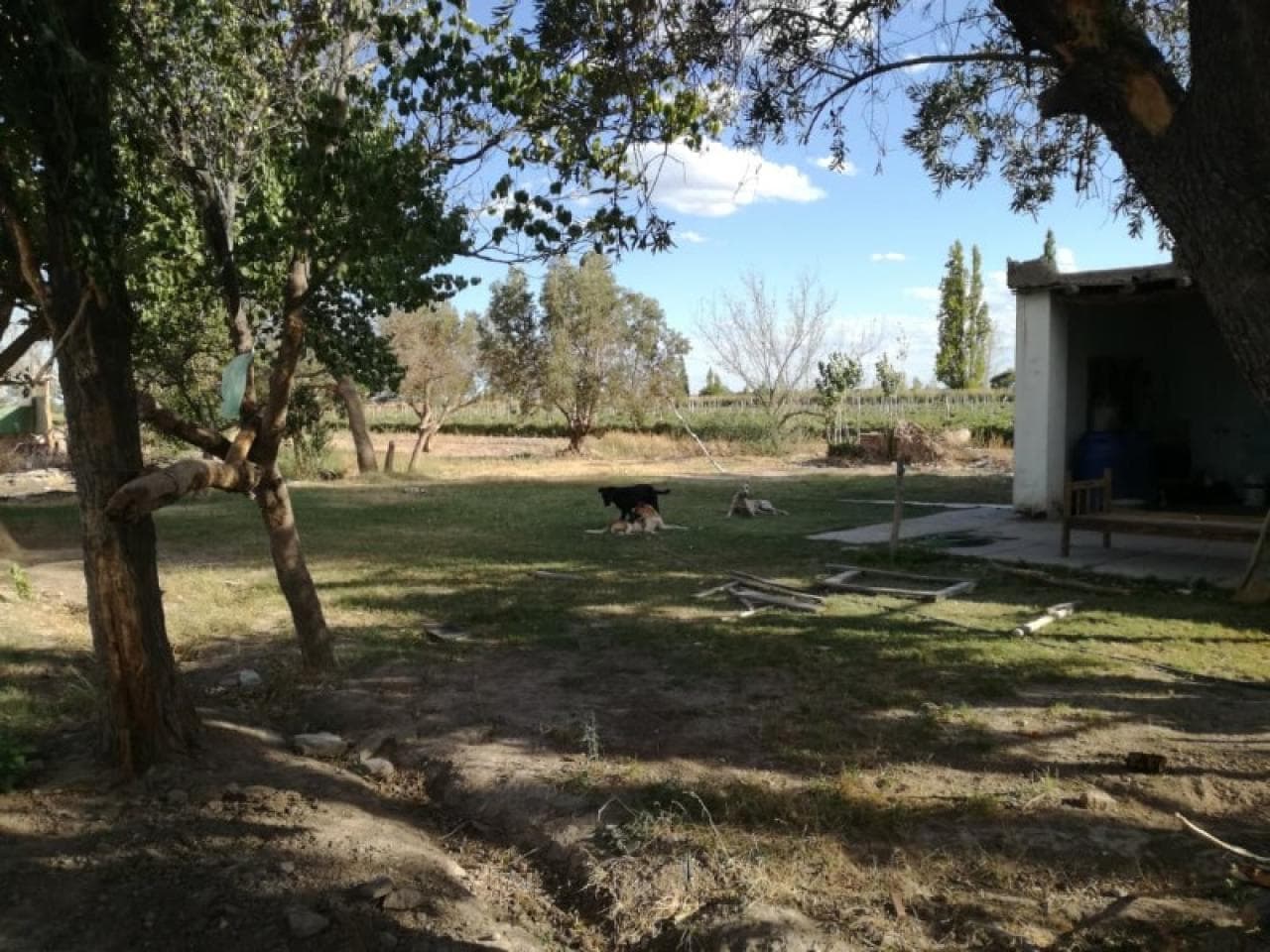 Venta. Finca De 5.5 Hectareas , Ideal Para Chacra O Loteo, Con Pozo. Pocito