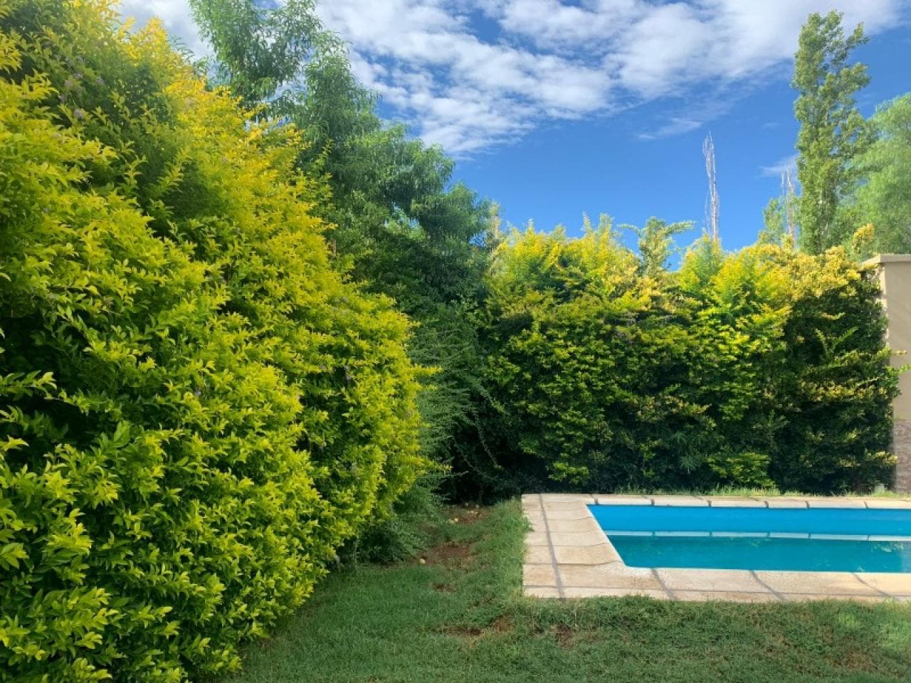 Venta. Casa A Una Cuadra De Calle La Laja Y Bs As---3 Dormitorios Y 2 Baños + Cochera. Consultar. Albardon
