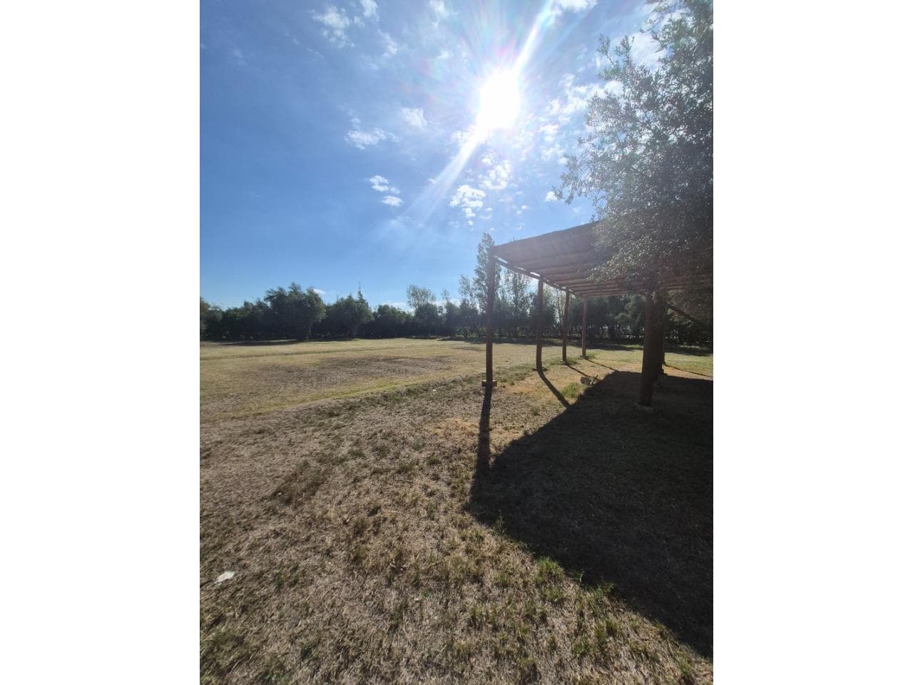 🌳 Venta Lote  Loteo Privado Los Troncos. Santa Lucia 🌳