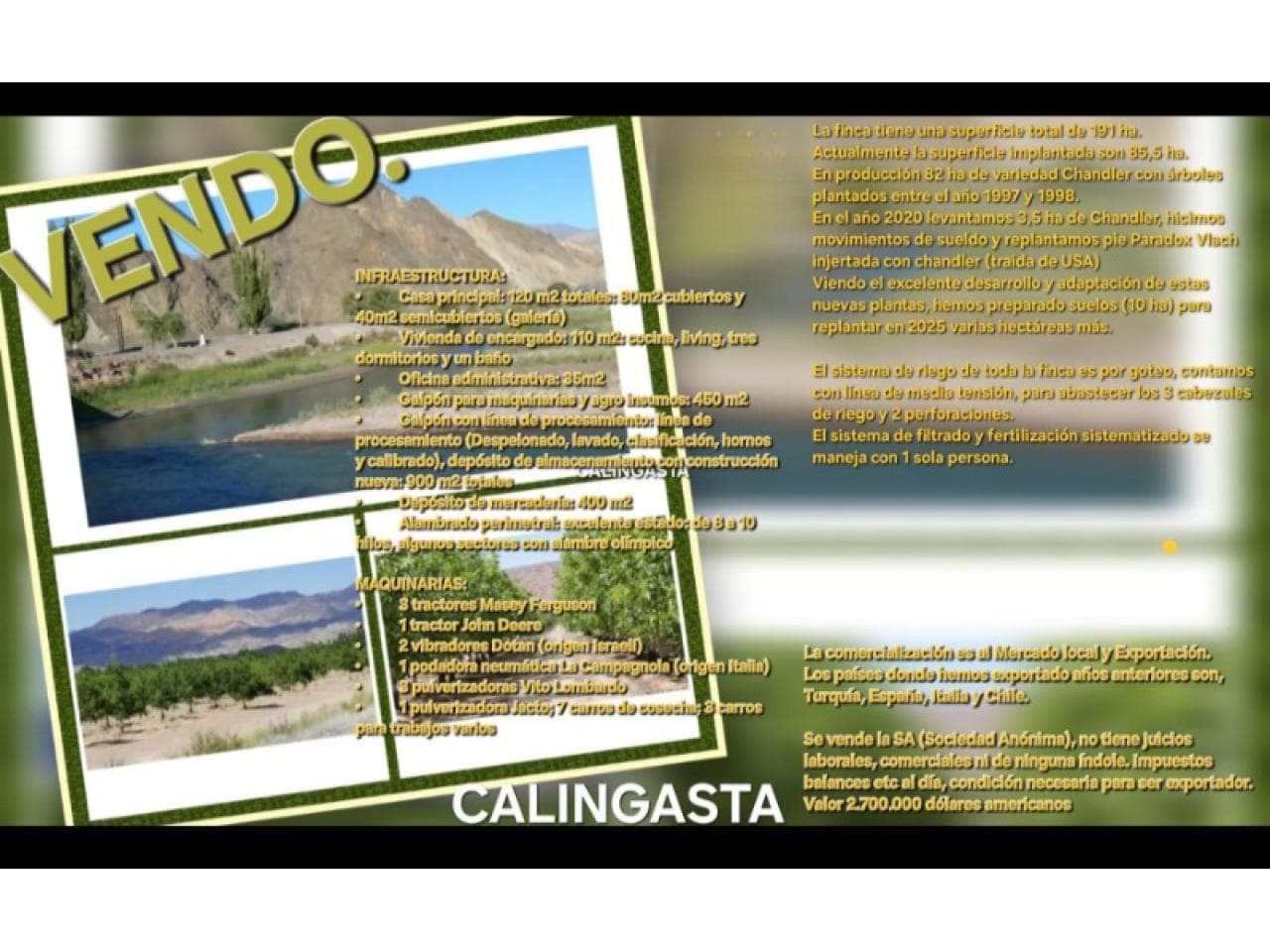 Vendo Finca En Calingasta