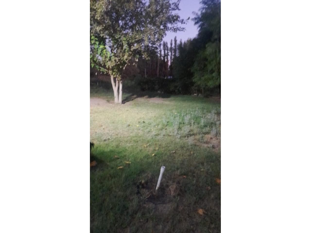 Venta. Casa Con Lote Amplio Para Seguir Construyendo. Albardon