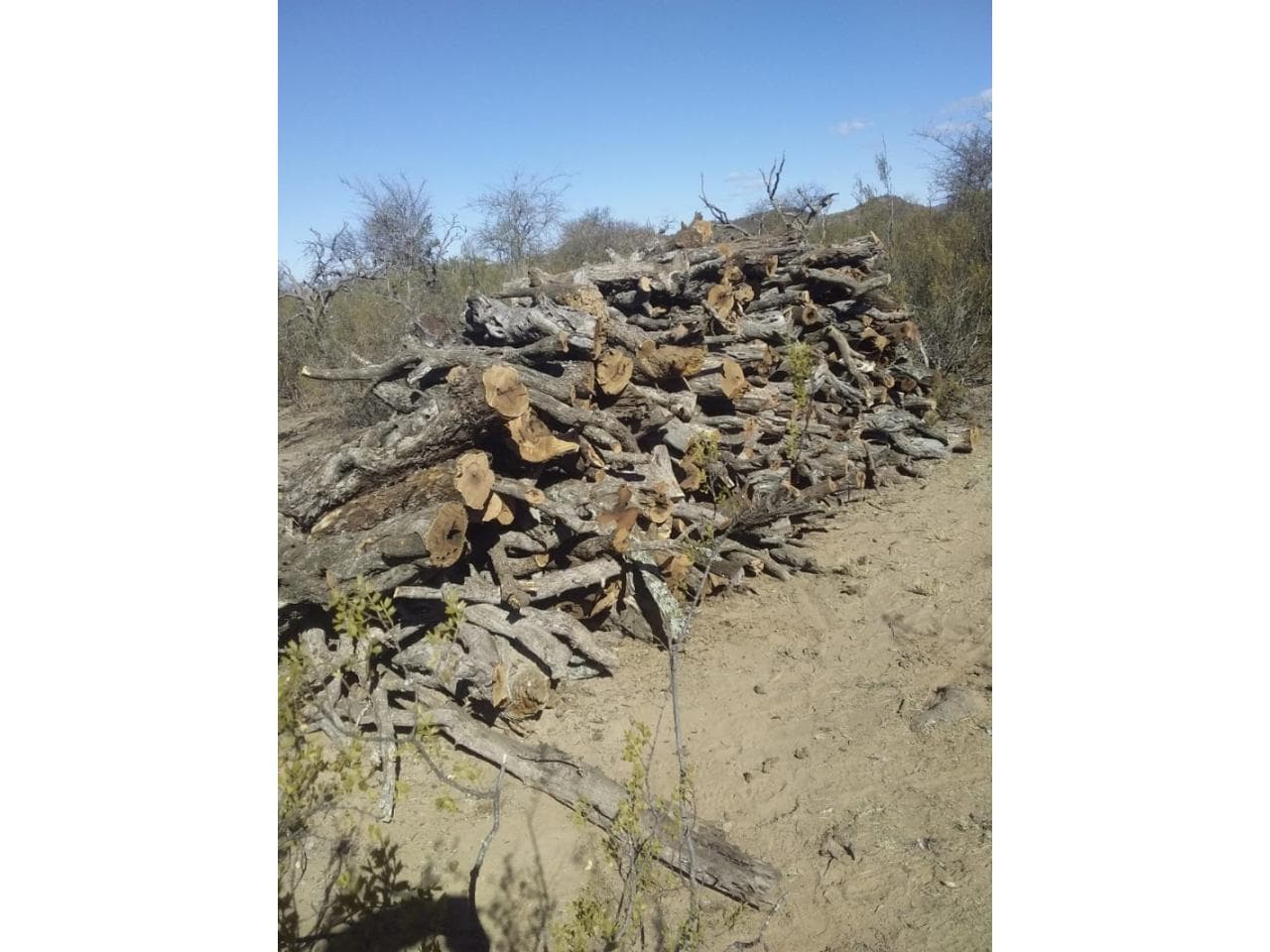 Alquilo Hermoso Campo En Valle Fertil