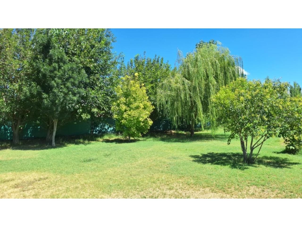 Vendo Quinta/finca De 7.600 M2 En El Centro De Albardon