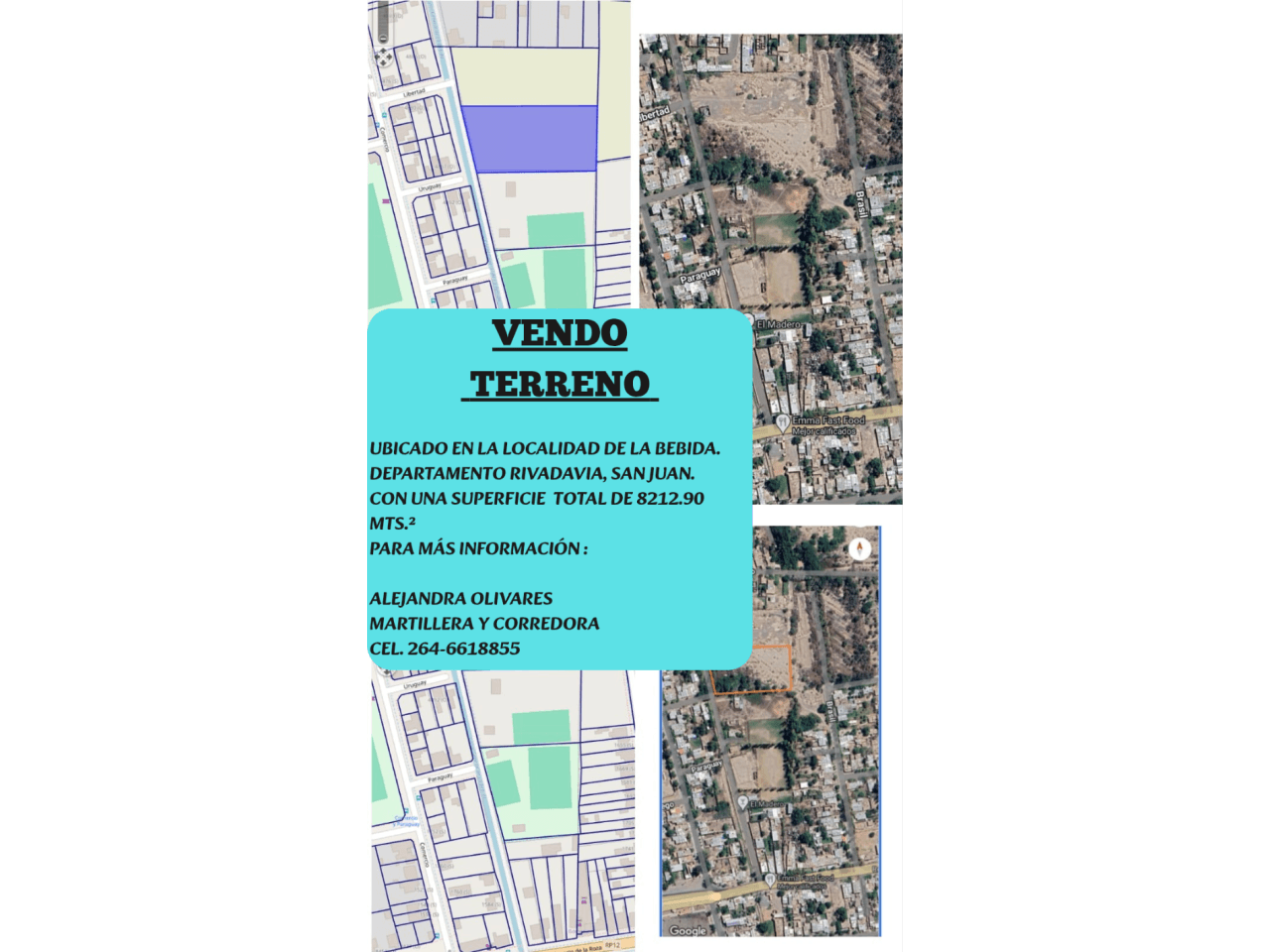 Venta Lote 8200 Mts². Rivadavia